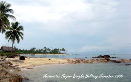 Pantai Tanjung Ular yang cantik