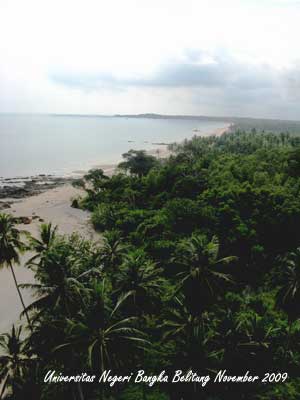 Pantai Tanjung Ular yang cantik