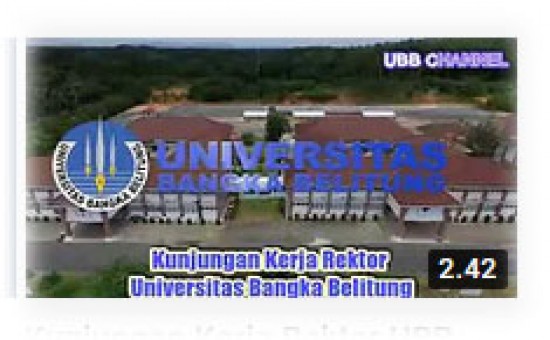 Video Kunjungan Kerja Rektor UBB